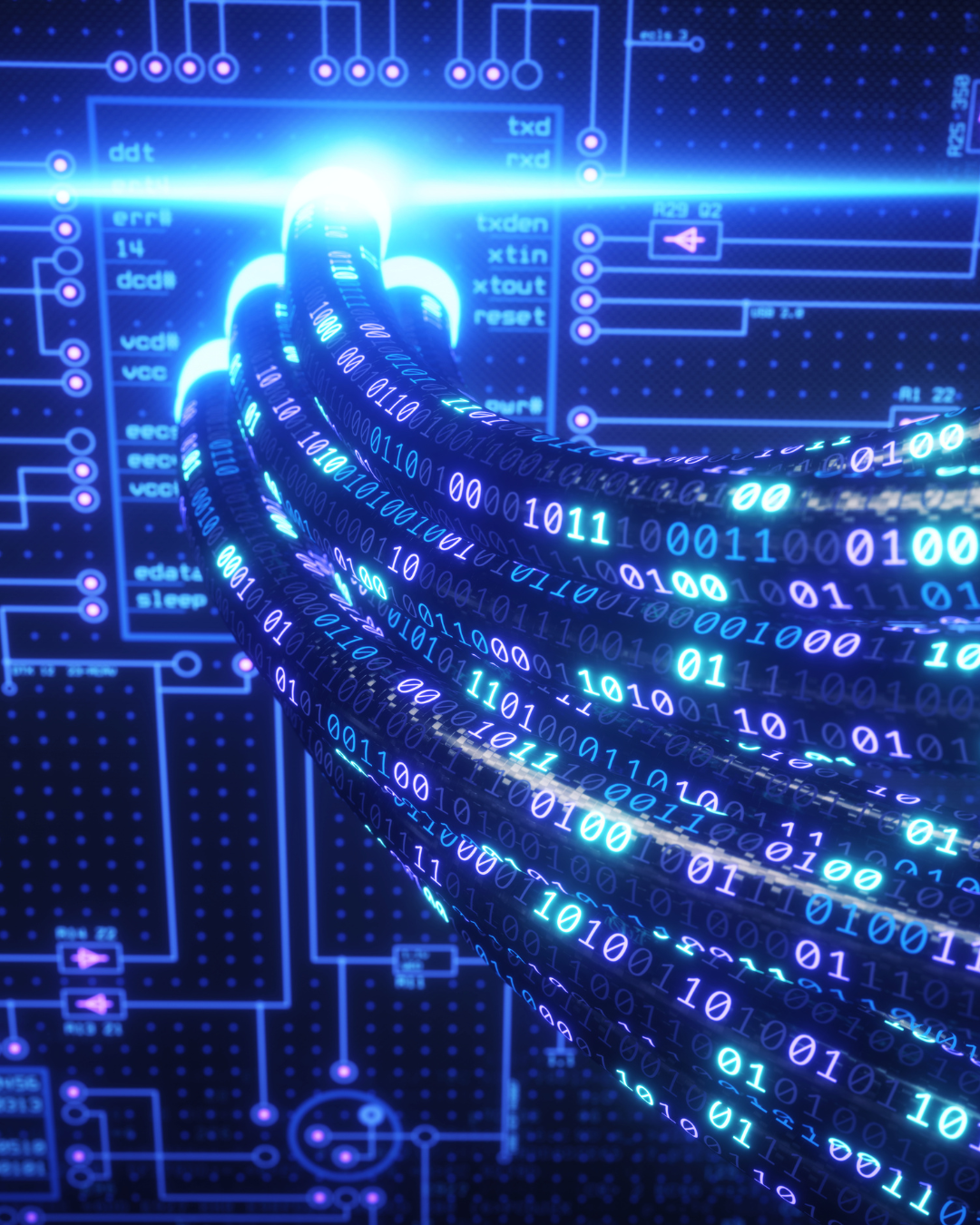 Data Infrastructure & Cabling